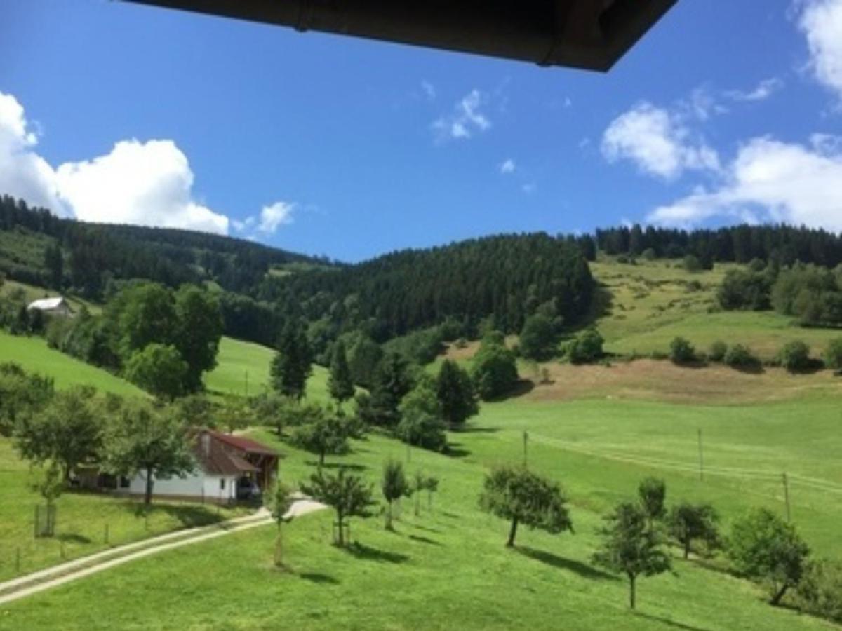 Ferienwohnungen Maierhof Oberried أوبيريد المظهر الخارجي الصورة