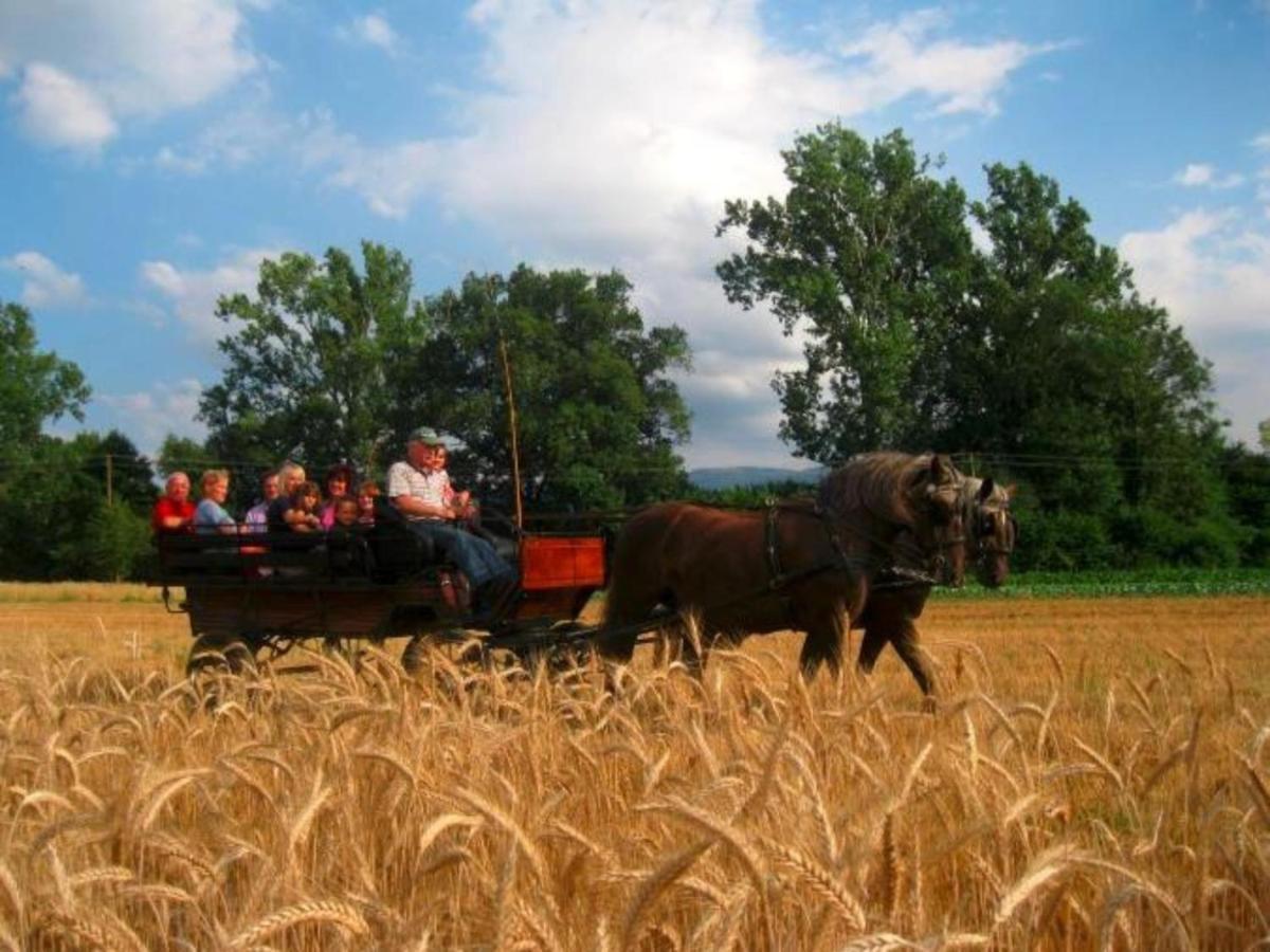 Ferienwohnungen Maierhof Oberried أوبيريد المظهر الخارجي الصورة