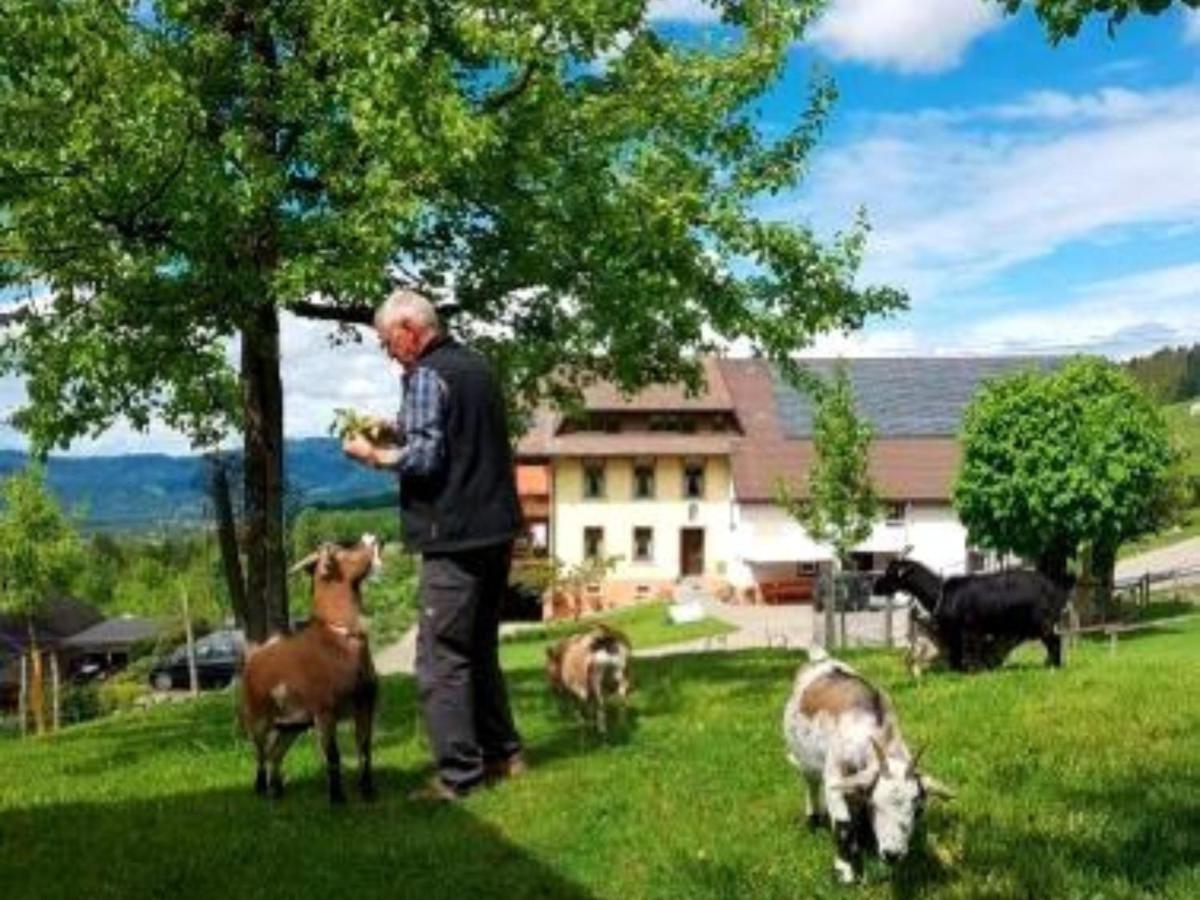 Ferienwohnungen Maierhof Oberried أوبيريد المظهر الخارجي الصورة