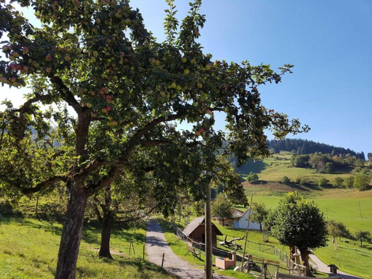 Ferienwohnungen Maierhof Oberried أوبيريد المظهر الخارجي الصورة