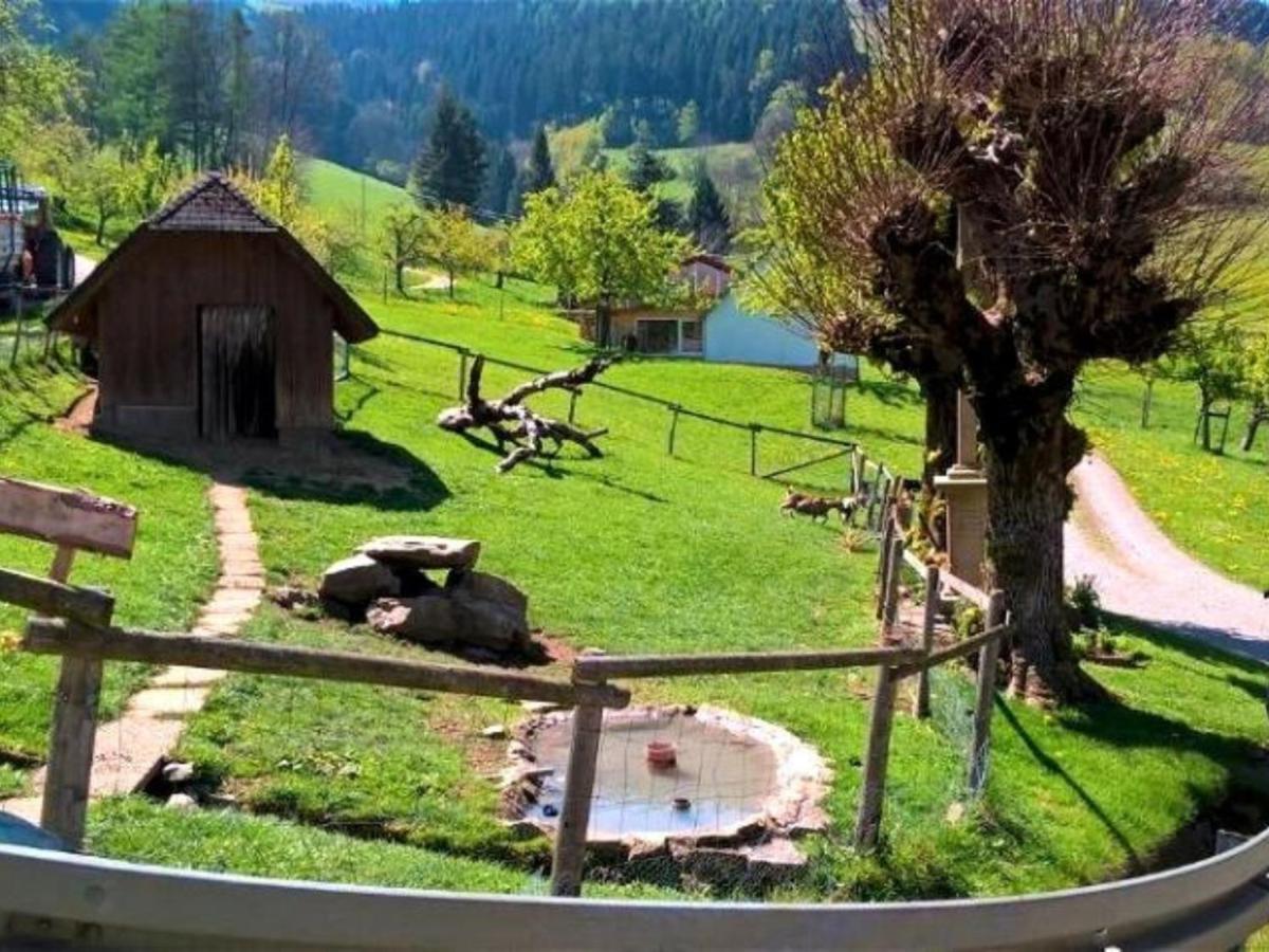 Ferienwohnungen Maierhof Oberried أوبيريد المظهر الخارجي الصورة