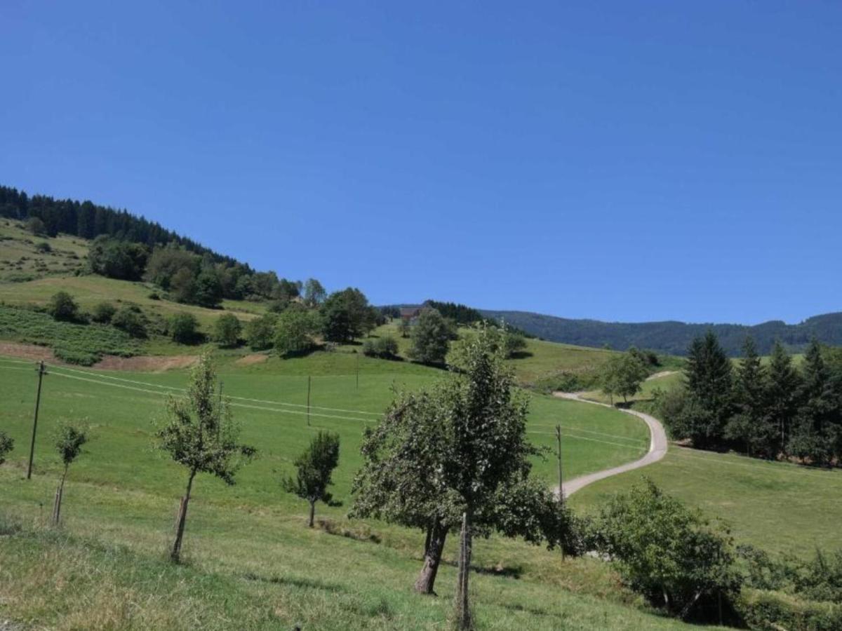 Ferienwohnungen Maierhof Oberried أوبيريد المظهر الخارجي الصورة