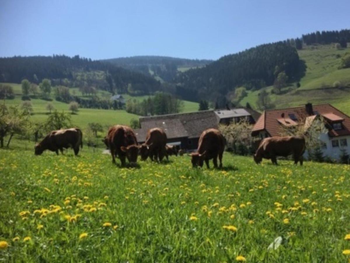 Ferienwohnungen Maierhof Oberried أوبيريد المظهر الخارجي الصورة