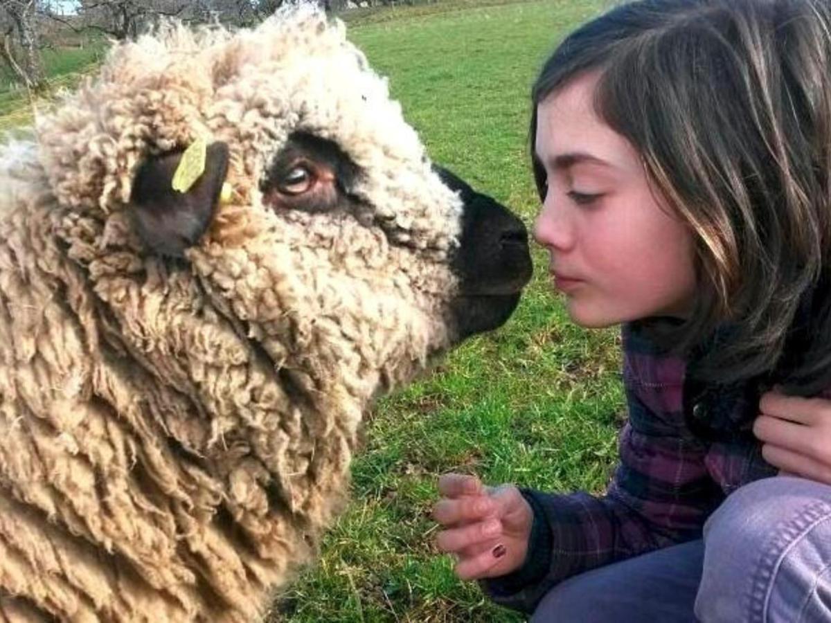 Ferienwohnungen Maierhof Oberried أوبيريد المظهر الخارجي الصورة